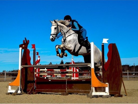 В Хакасии состоятся трехдневные соревнования по конному спорту