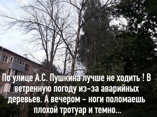 Рязанка пожаловалась на сухие деревья на улице Пушкина