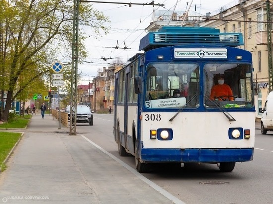 Мэр Петрозаводска попросил повременить с отменой льгот для троллейбусов