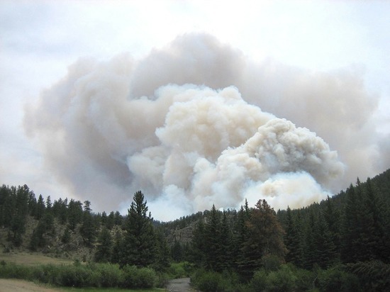 В Башкирии удалось локализовать два крупных лесных пожара