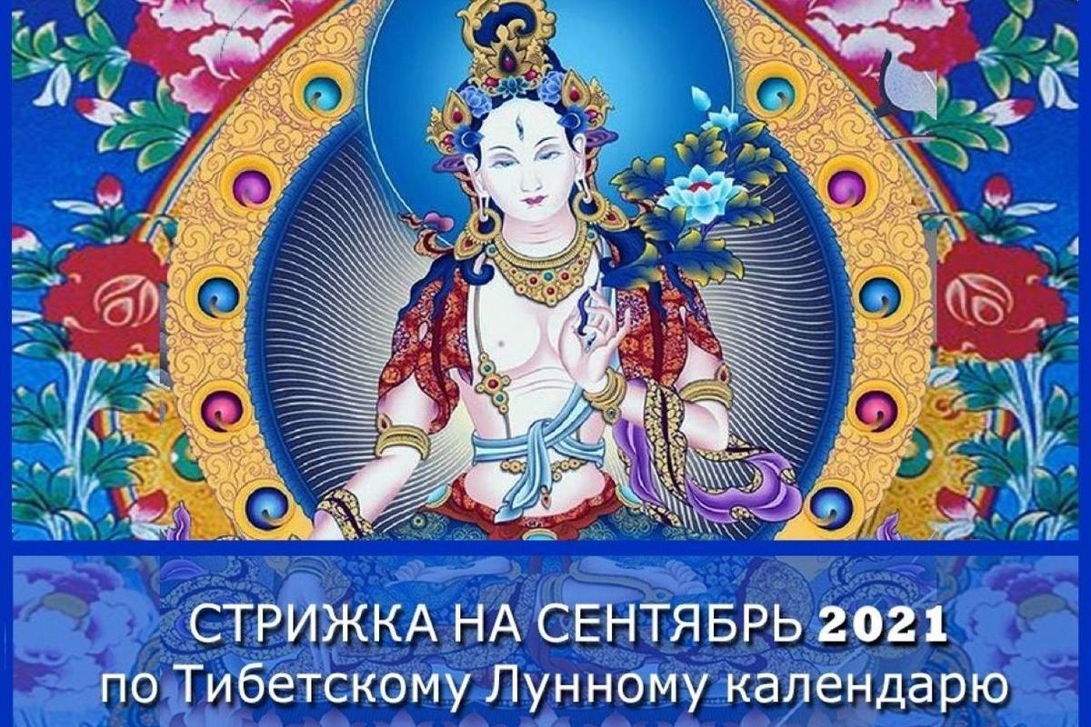 Календарь стрижек на сентябрь буддийский Буддийская астрология: в какие дня сентября нельзя стричься - МК Калмыкия