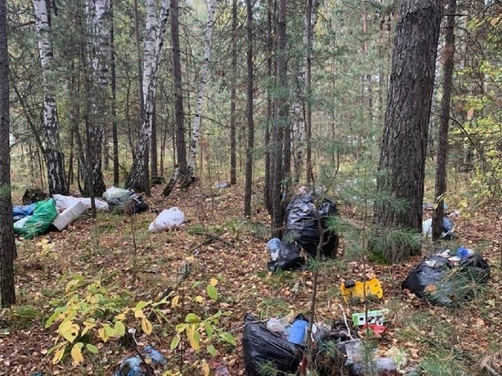 В Новосибирске грибники отправятся в лес за мусором 2 сентября