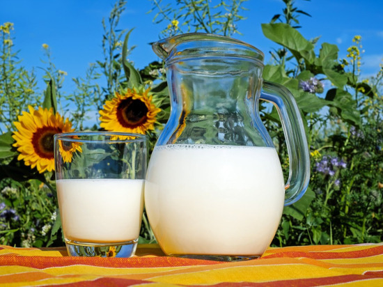 Карачаево-Черкесия увеличила объем экспорта молока за границу на 38 %