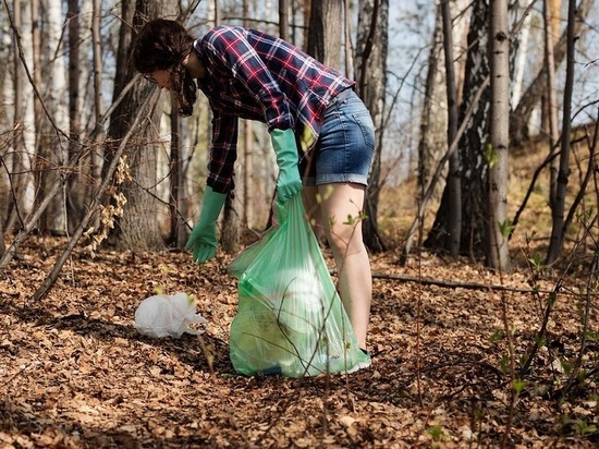 За месяц в Псковской области от мусора очистили 4 километра берега