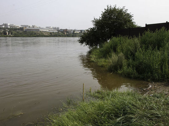 В Улан-Удэ вода в реке Селенга заражена кишечной палочкой