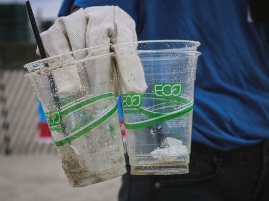 Одноразовую пластиковую посуду в России запретят через два года