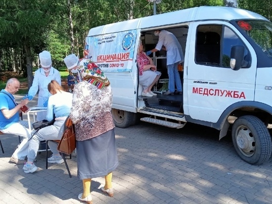 В Кировскую область доставили  279 500 доз вакцин от гриппа