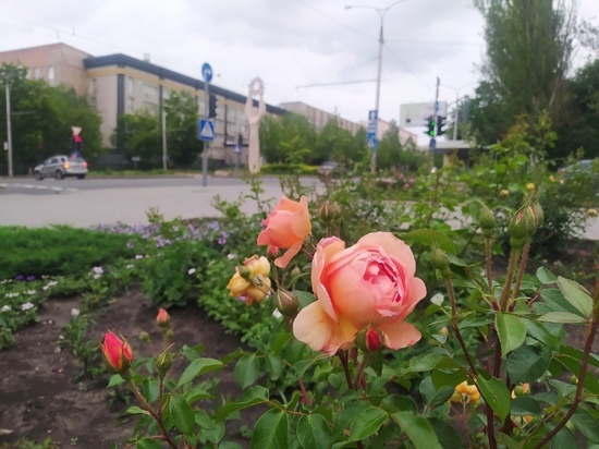 Автобусы в Кировском районе Донецка изменят маршруты