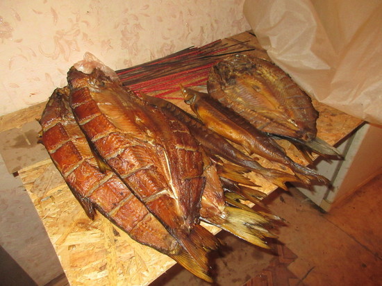 В Астрахани накрыли подпольный цех по производству рыбной продукции