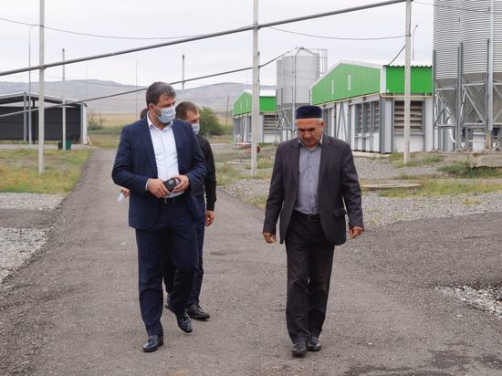 «Россети Северный Кавказ» выдали 2,6 МВт мощности птицеводческому комплексу в Ингушетии