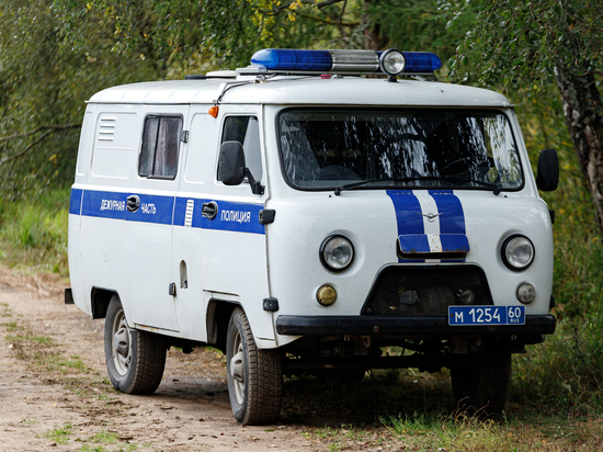 За угрозы полицейскому пскович окажется на скамье подсудимых