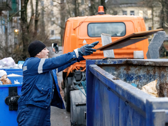 В график вывоза мусора в Псковском районе внесли ещё одну деревню