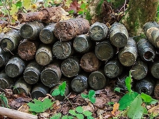 37 боеприпасов времен войны обезвредили смоленские саперы