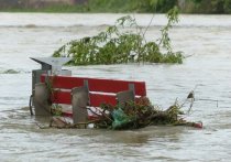 Десятки человек погибли в США из-за последствий урагана «Ида» – в результате наводнений на восточном побережье