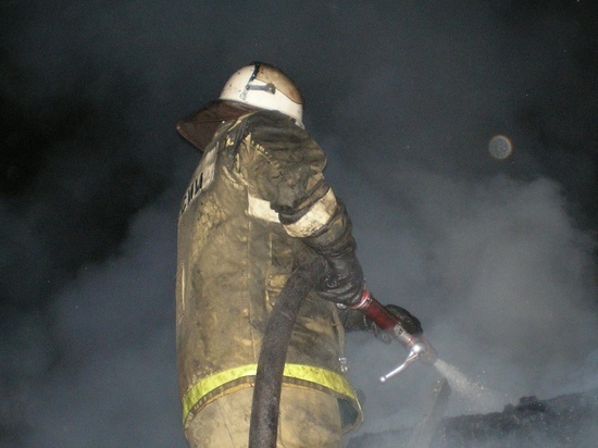 Пожарные спасли двух человек во время пожара в алтайском селе