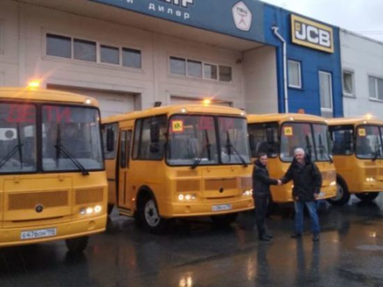 Около 400 новых автобусов будут развозить детей по школам в Ленобласти