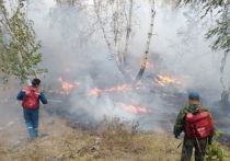 Два крупных природных пожара в Башкирии тушат пожарные и добровольцы