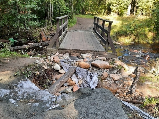 Петрозаводчане нашли ещё один мост через Неглинку, пострадавший от ливней