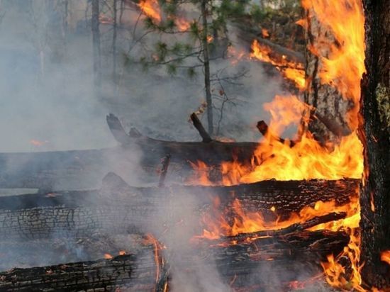В Башкирии продолжают действовать десять лесных пожаров