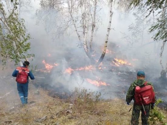 Два крупных природных пожара в Башкирии тушат пожарные и добровольцы