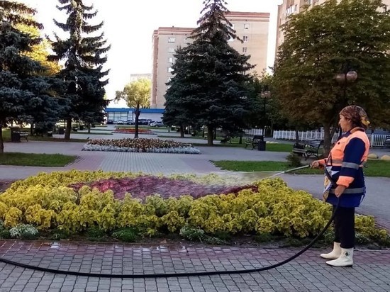 Коммунальщики Серпухова поддерживают порядок в городе