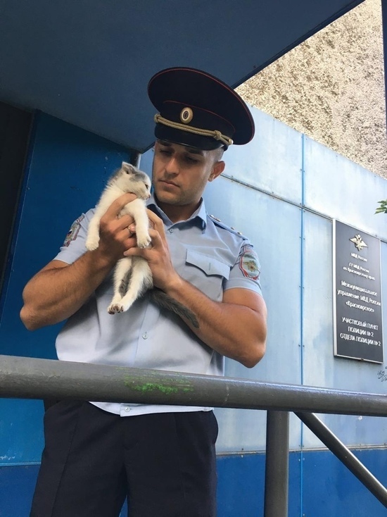 Мемный полицейский нашел себе пушистого друга в Красноярске