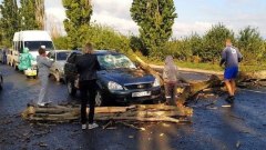 Недалеко от КПП "Успенка" в ДНР машину раздавило деревом