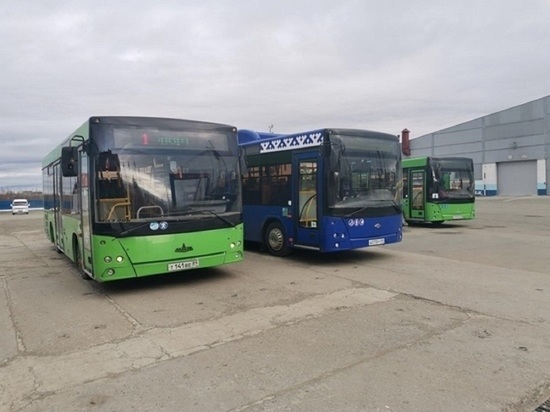 Мало автобусов и ездят не по графику: на работу общественного транспорта пожаловался житель Салехарда