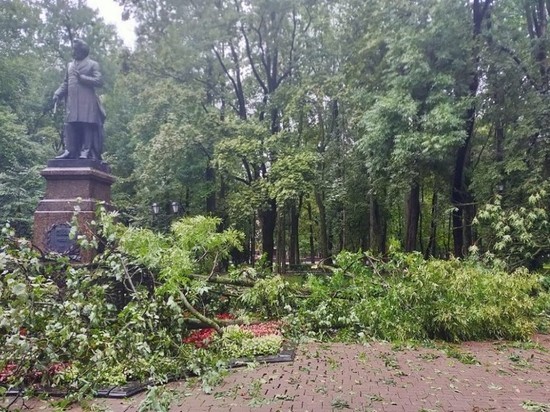 В Смоленске повалившиеся от ветра деревья упали на уникальную ограду