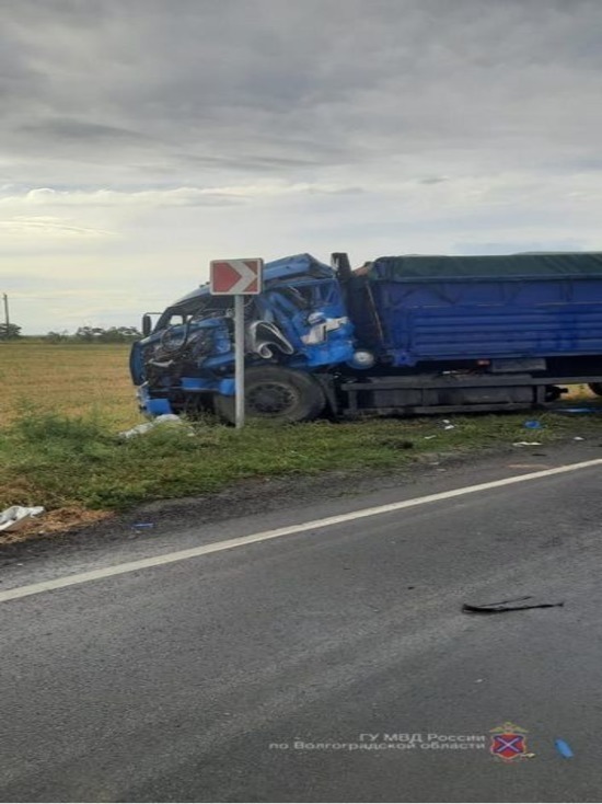 В Волгоградской области столкнулись 2 грузовика