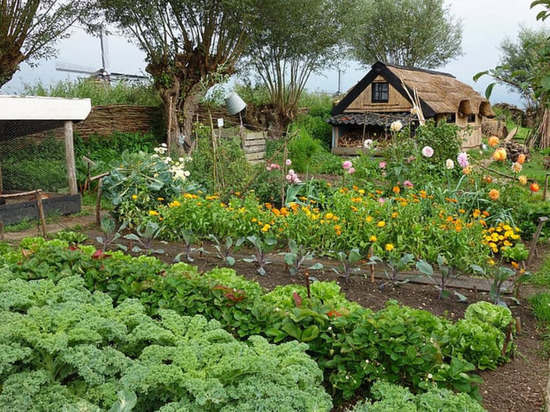Сельчанка из Ингушетии получила миллион за лучшее подсобное хозяйство