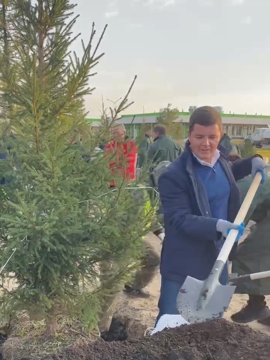 Дмитрий Артюхов и общественники высадили трехметровые ели в Новом Уренгое