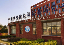 США финансировали спорную вирусную лабораторию в китайском Ухане, где проводились исследования, направленные на то, чтобы сделать болезни более смертоносными