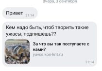 Донецким девушкам в социальной сети ВКонтакте рассылают сообщения, которые содержат фальшивую ссылку