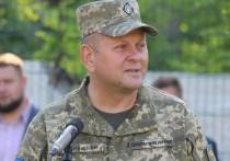 Журналисты одного из украинских телеканалов подставили главнокомандующего вооруженными силами страны Валерия Залужного