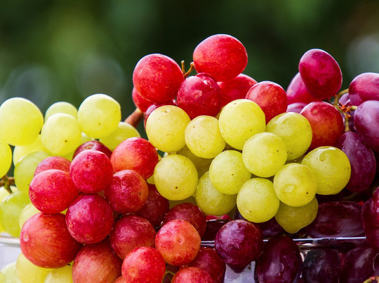 Самый вкусный виноград ДНР вырастили в Харцызске