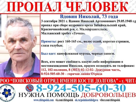 Пенсионер пропал при заготовке ореха в Красночикойском районе