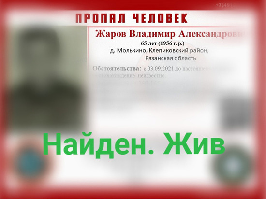 Пропавшего в Клепиковском районе 65-летнего мужчину нашли
