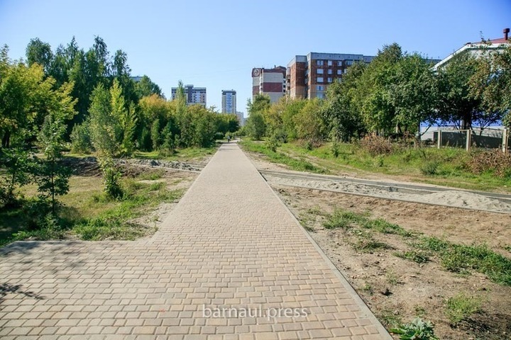 Мизюлинская роща в барнауле фото