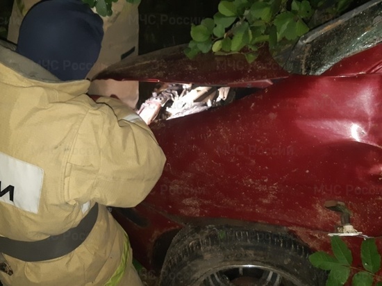 Молодая девушка погибла в ДТП на трассе в Калужской области