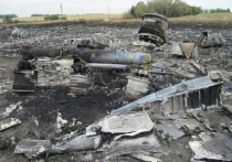 Один из свидетелей по делу о крушении самолета Boieng 777 авиакомпании Malaysia Airlines, который разбился в Донбассе в июле 2014 года, умер несколько недель назад