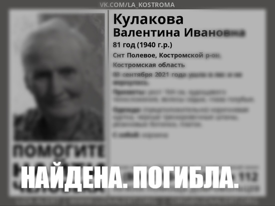 Первая жертва грибного сезона — костромские спасатели нашли в лесу тело 81-етней костромички