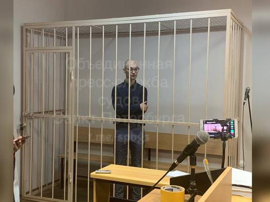 Ударившего силовика художника суд приговорил к трем годам лишения свободы