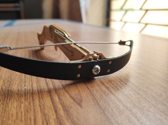 Зеленоволосая девушка стреляла из арбалета в полтавской школе