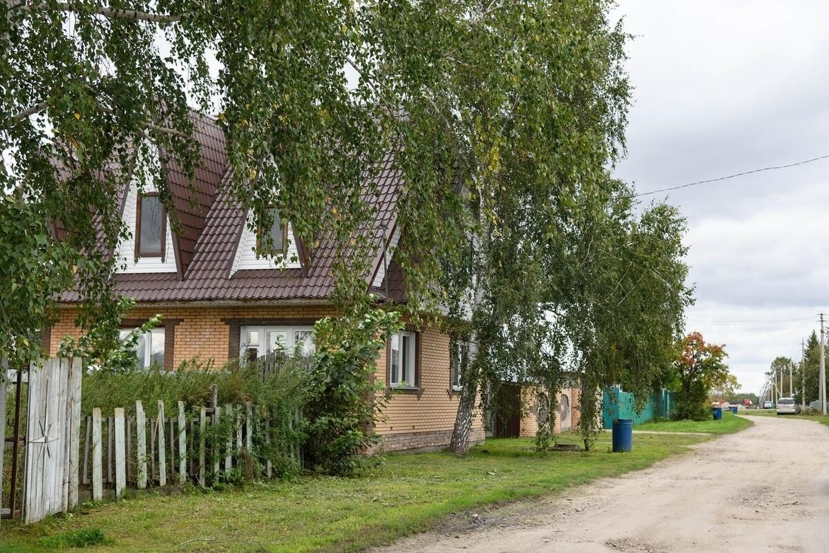 Новосибирск базово. Таня новосибирск. Показать с базово новосибирской. Новосибирск базово. Новосибирск базово.