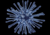 Пандемия COVID-19 полностью перевернула нашу жизнь в том виде, в каком мы ее знали, и, несомненно, побудила некоторых людей захотеть покинуть родную планету – куда-нибудь подальше от коронавируса