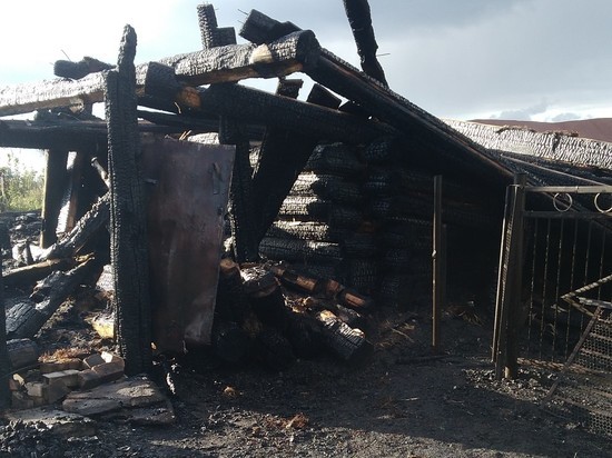 Крупный пожар уничтожил частный дом и надворные постройки в Чувашии