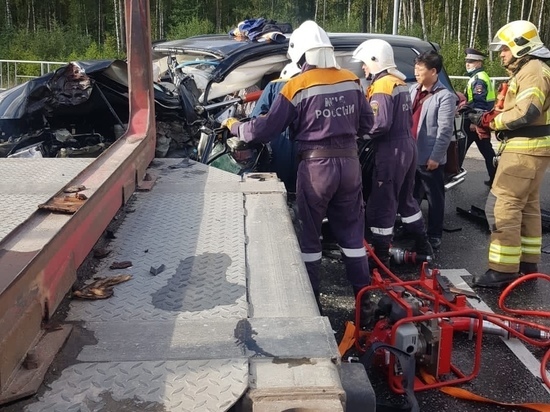 Новгородские спасатели вытащили пострадавшего из помятой легковушки