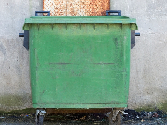 В Сольцах украли праздничный контейнер для мусора