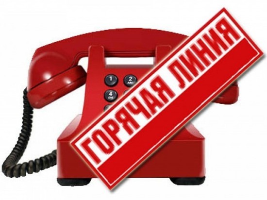Завтра молодым костромичам расскажут о возможностях трудоустройства